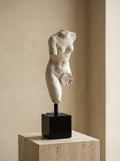 Torso Sculpture